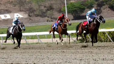 Conoce a los ejemplares con más fuerza y la jugada larga para acertar el 5y6 de La Rinconada Conoce a los ejemplares con más fuerza y la jugada larga para acertar el 5y6 de La Rinconada