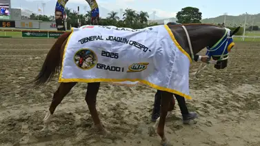 La historia se escribe: Madame Karina alcanza la doble corona e iguala esta gesta inmemorial La historia se escribe: Madame Karina alcanza la doble corona e iguala esta gesta inmemorial