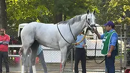 White Abarrio es retirado de las pistas tras el Whitney Stakes (G1)