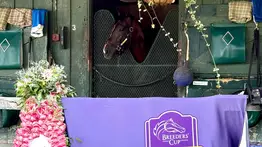 Sepa la racha que cortó Sovereignty con su victoria en el Whitney Stakes (G1)
