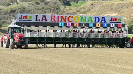 Reglamento a la mano: Por esta razón multan a preparador profesional en La Rinconada