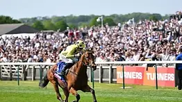 Terremoto en el turf: Se retira invicto el mejor caballo de Europa por una lesión