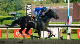 ¿Sovereignty o Forever Young? Cuál domina la clasificación para la Breeders’ Cup Classic
