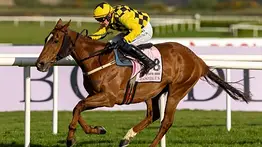 ¡Conmoción en el hipismo! El campeón de los 12 títulos de Grado 1 anuncian su retiro definitivo