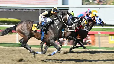 Regresa el dato atrasado: Hijo de Great Hunter vuelve para retar a los favoritos en el 5y6 Regresa el dato atrasado: Hijo de Great Hunter vuelve para retar a los favoritos en el 5y6
