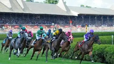 Pronósticos Saratoga: picks y el dato clave para el jueves 13 de agosto Pronósticos Saratoga: picks y el dato clave para el jueves 13 de agosto
