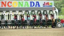 ¡Alerta de batacazo! El Speed Rating proyecta resultados inesperados en la R32 de La Rinconada