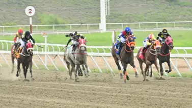 Cómo ajustó la gran opción de Gaceta Hípica está preparada para su gran debut en el 5y6 Cómo ajustó la gran opción de Gaceta Hípica está preparada para su gran debut en el 5y6
