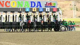Este es el cuadro sugerido de bajo costo para el 5y6 nacional del domingo en La Rinconada