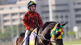 Conoce la condición del jockey Francisco Urdaneta luego de su caída en el 5y6