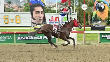 Consagración inédita de Jhonathan Aray en la Triple Corona Nacional en La Rinconada Consagración inédita de Jhonathan Aray en la Triple Corona Nacional en La Rinconada