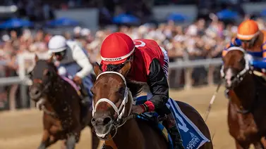 Hijo de Gun Runner que costó $1.9 millones ganó sobrado con Junior Alvarado en Saratoga Hijo de Gun Runner que costó $1.9 millones ganó sobrado con Junior Alvarado en Saratoga
