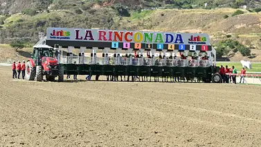 Reunión 33 en La Rinconada: Dos pruebas selectivas miden la fuerza de la nueva generación Reunión 33 en La Rinconada: Dos pruebas selectivas miden la fuerza de la nueva generación