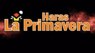 Haras La Primavera firma un hito inédito en el óvalo de La Rinconada Haras La Primavera firma un hito inédito en el óvalo de La Rinconada
