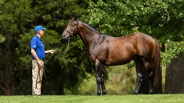 Nieta de un ganador del Kentucky Derby de forma invicto debuta en La Rinconada Nieta de un ganador del Kentucky Derby de forma invicto debuta en La Rinconada
