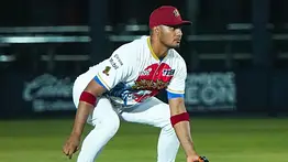LVBP: Tigres de Aragua contará con esta figura desde el primer día
