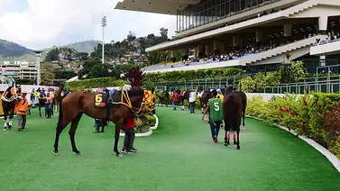Este es el cuadro sugerido del 5y6 del domingo 23-08-2026 en La Rinconada Este es el cuadro sugerido del 5y6 del domingo 23-08-2026 en La Rinconada