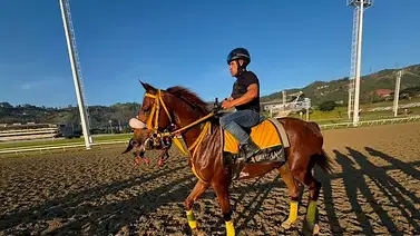 La Rinconada se prepara para el XXXVIII Clásico Gradisco La Rinconada se prepara para el XXXVIII Clásico Gradisco
