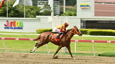El gran reto en La Rinconada: Violence And Peace (USA) va contra los machos en el Clásico Sprinters (GI) El gran reto en La Rinconada: Violence And Peace (USA) va contra los machos en el Clásico Sprinters (GI)