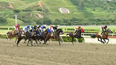 ¿Cuál es la más veloz? Once corredoras buscan la corona en el Clásico Sprinters Yeguas (GII) en La Rinconada ¿Cuál es la más veloz? Once corredoras buscan la corona en el Clásico Sprinters Yeguas (GII) en La Rinconada