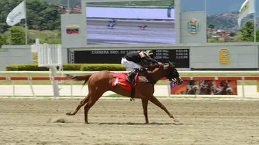 Ganadora clásica regresa a la pista de La Rinconada luego de 168 días sin correr Ganadora clásica regresa a la pista de La Rinconada luego de 168 días sin correr
