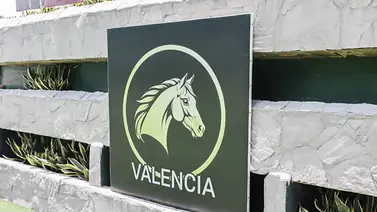 Conoce los dos ejemplares retirados en las válidas del 5y6 del sábado en Valencia Conoce los dos ejemplares retirados en las válidas del 5y6 del sábado en Valencia