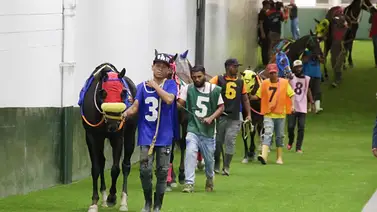 ¡Baja sensible! El Clásico Sprinters (GI) pierde a uno de sus inscritos para este domingo en La Rinconada ¡Baja sensible! El Clásico Sprinters (GI) pierde a uno de sus inscritos para este domingo en La Rinconada