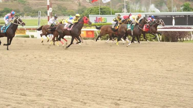 Mira el ajuste de la favorita para iniciar el Loto Hípico del domingo en La Rinconada
