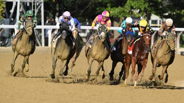 Datos de Última Hora para Saratoga 2-9-2023