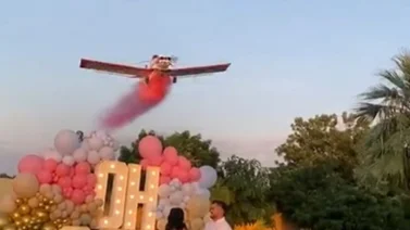 ¡Impactante! Avioneta se estrella durante la revelación de sexo de un bebé (+ Video)