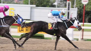 ¿Hace cuánto Wilmer Landaeta no ganaba dos carreras el mismo año en La Rinconada? Aquí te lo contamos ¿Hace cuánto Wilmer Landaeta no ganaba dos carreras el mismo año en La Rinconada? Aquí te lo contamos
