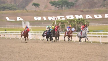 Con 231 días sin correr este ejemplar de César Cachazo regresa a La Rinconada