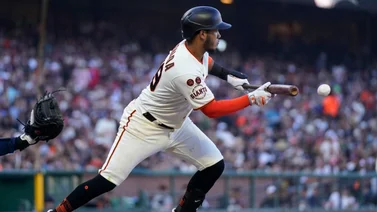 LVBP: Tigres de Aragua contará con la presencia de estos grandeligas (+Video)