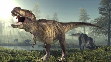 Hallan lo que podría ser "el eslabón perdido" de los dinosaurios
