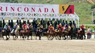 Este es el ajuste de uno de los fijos de Carlos Brito para este domingo en La Rinconada