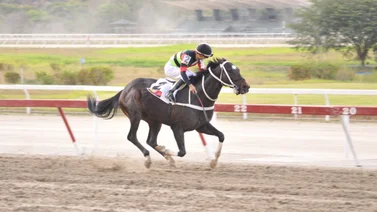 Conoce el ajuste del hijo de King Seraf que reaparece este domingo en La Rinconada