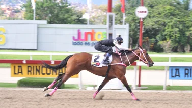 Mira lo que le pasó a Lady Sophia en su ajuste para la carrera de domingo