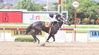 Así fue el ajuste de la línea de Gaceta Hípica que puede abrir la Triple Apuesta este domingo en La Rinconada
