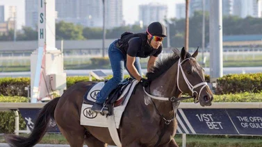 Jockey que hace vida en los Estados Unidos pide la salida de Salomón Rondón y Tomás Rincón de la selección