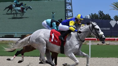 Cipriano Gil consigue su primera victoria en Gulfstream Park