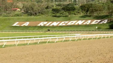 A Desbocado no la para nadie y es líder en aciertos en La Rinconada A Desbocado no la para nadie y es líder en aciertos en La Rinconada