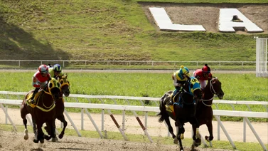 Cinco tresañeras se medirán en el Clásico Gelinotte en La Rinconada