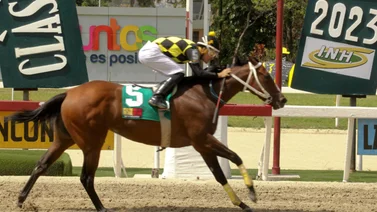 Mi Querida Emma reaparece para conquistar el Clásico Gelinotte en La Rinconada 