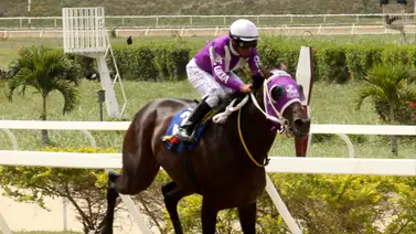 Li Tre Fratelli reaparece para correr el Clásico Millard Ziadie en La Rinconada Li Tre Fratelli reaparece para correr el Clásico Millard Ziadie en La Rinconada