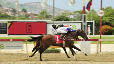 Ejemplar que corrió el Jockey Club de Venezuela vuelve a la acción tras 182 días sin competir en La Rinconada