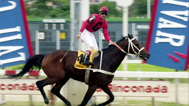 Caballo conducido por Ángel Alciro Castillo realizó el mejor tiempo en el Clásico Millard Ziadie