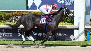 Conoce aquí lo que declara José Francisco D'Angelo sobre su pupilo Bentornato Conoce aquí lo que declara José Francisco D'Angelo sobre su pupilo Bentornato