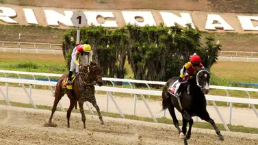 ¿Sabes cómo queda el ajuste de esta yegua que es una de las favoritas para el Clásico Gelinotte en La Rinconada? Aquí te lo mencionamos ¿Sabes cómo queda el ajuste de esta yegua que es una de las favoritas para el Clásico Gelinotte en La Rinconada? Aquí te lo mencionamos