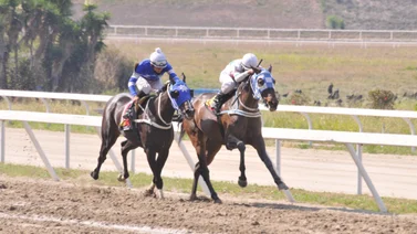 Esta es la yunta que ha ganado más carreras en La Rinconada 