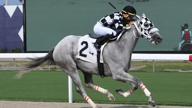 Estos venezolanos se lucen con sus victorias en Gulfstream Park